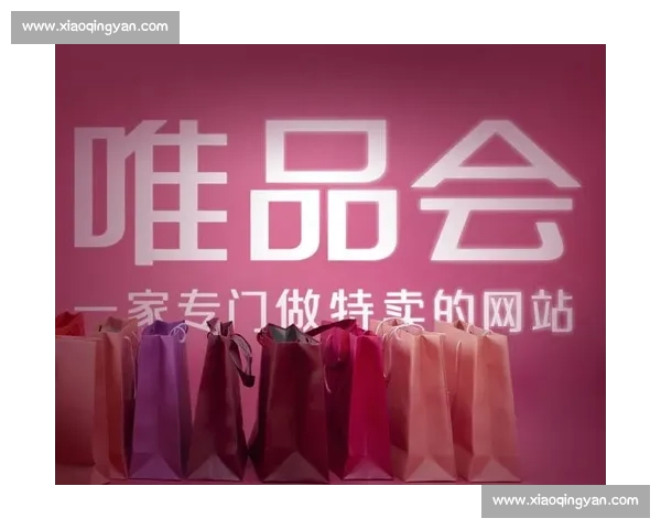 唯品会创新电商模式:深度剖析品牌折扣与限时抢购如何驱动消费热潮
